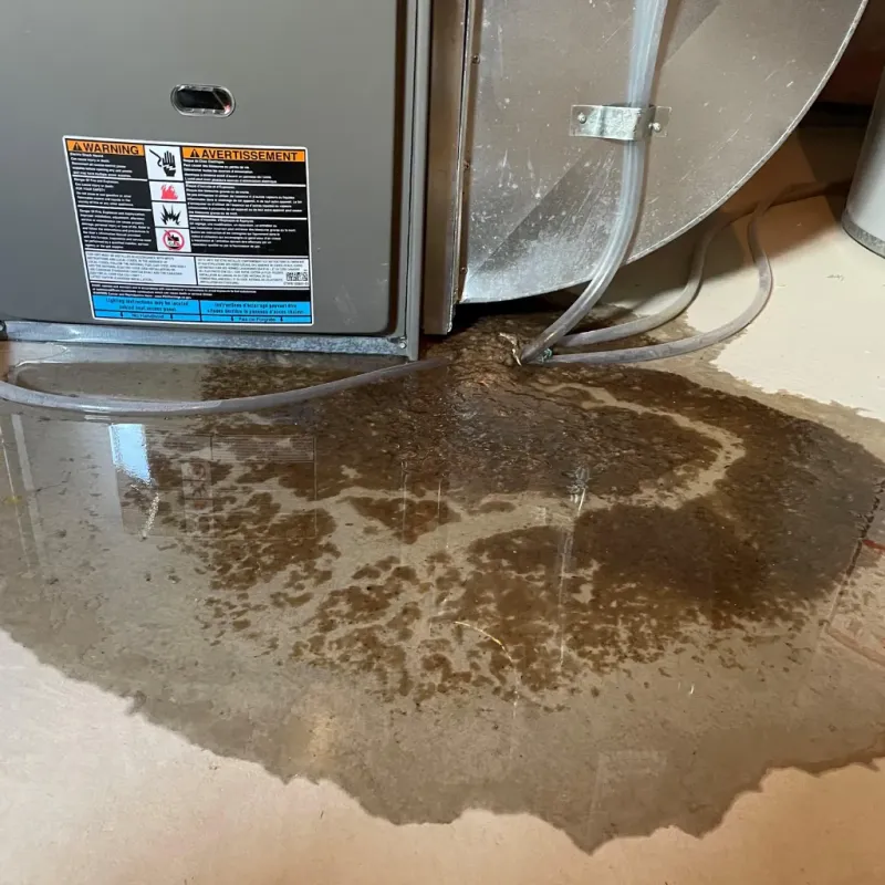 Appliance Leak Cleanup in Mannington, WV