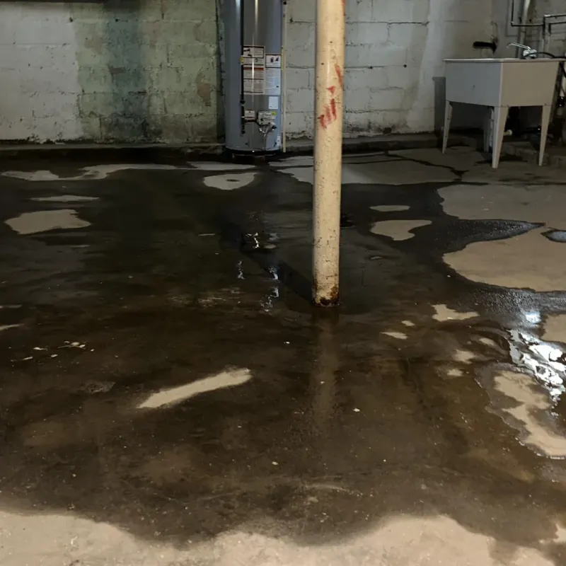 Emergency Water Extraction And Removal in Mannington, WV